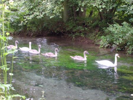 Randonn&eacute;e au sentier des trois abbayes