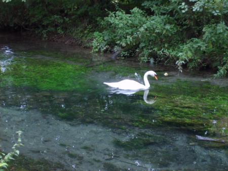Randonn&eacute;e au sentier des trois abbayes