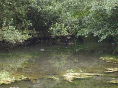 Randonn&eacute;e au sentier des trois abbayes