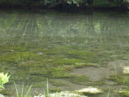 Randonn&eacute;e au sentier des trois abbayes