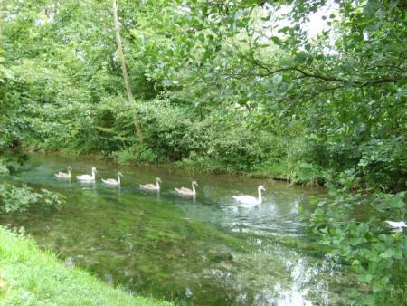 Randonn&eacute;e au sentier des trois abbayes