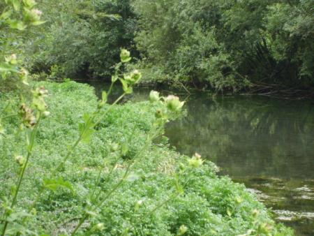 Randonn&eacute;e au sentier des trois abbayes