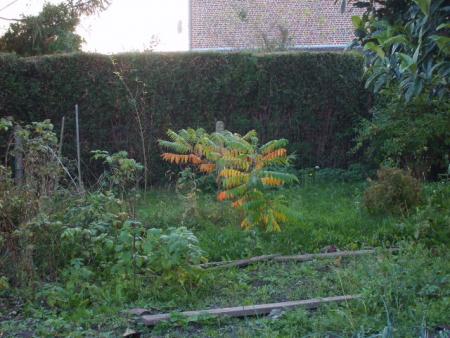 Le samedi 19 octobre 2008