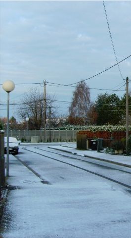 Dimanche 23 novembre 2008