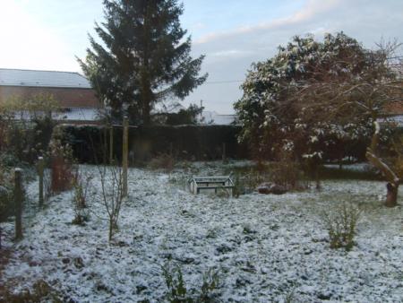 Dimanche 23 novembre 2008